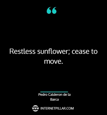 best-sunflower-quotes-sayings