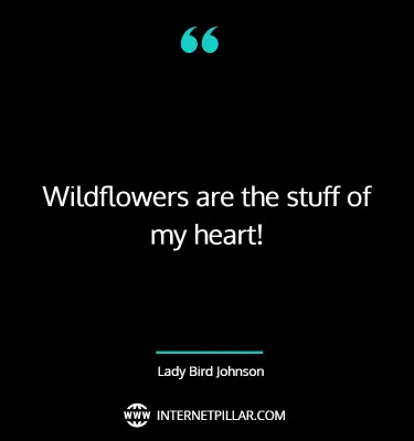 best-wildflower-quotes-sayings