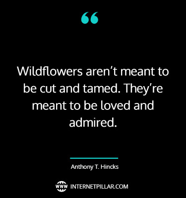famous-wildflower-quotes-sayings