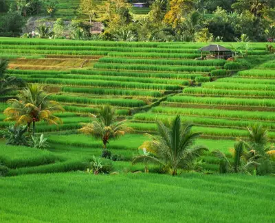 farming