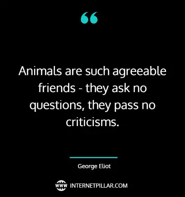 great-animal-lover-quotes-sayings