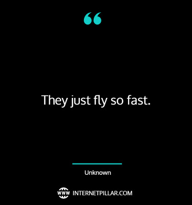 great-hummingbird-quotes-sayings