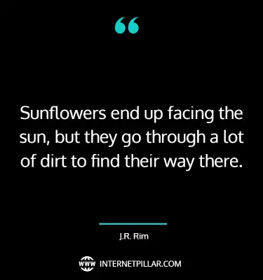 great-sunflower-quotes-sayings
