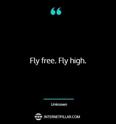 inspirational-fly-high-quotes-sayings