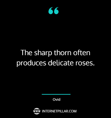inspirational-rose-quotes-sayings