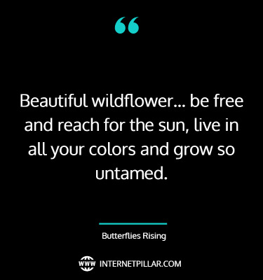 inspirational-wildflower-quotes-sayings