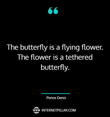 inspiring-butterfly-quotes-sayings