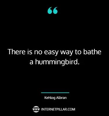 inspiring-hummingbird-quotes-sayings