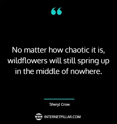 inspiring-wildflower-quotes-sayings