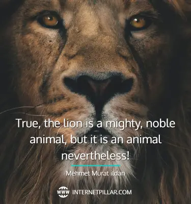lion-quotes