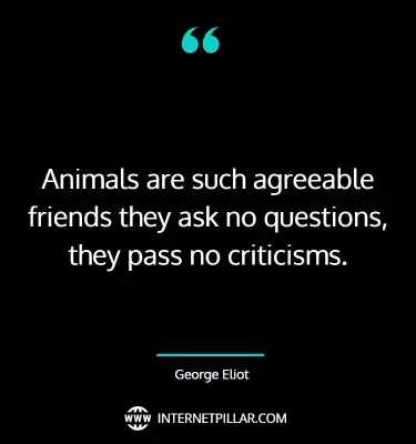 motivating-animal-lover-quotes-sayings