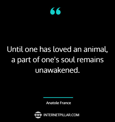 powerful-animal-lover-quotes-sayings