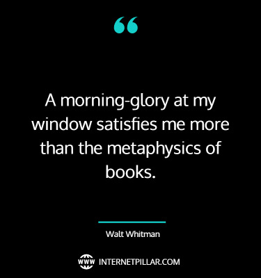 powerful-morning-glory-quotes-sayings-captions