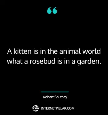 profound-animal-lover-quotes-sayings