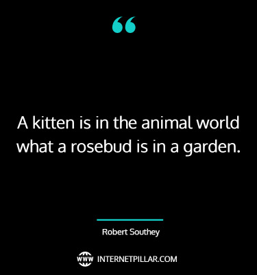 profound-animal-lover-quotes-sayings