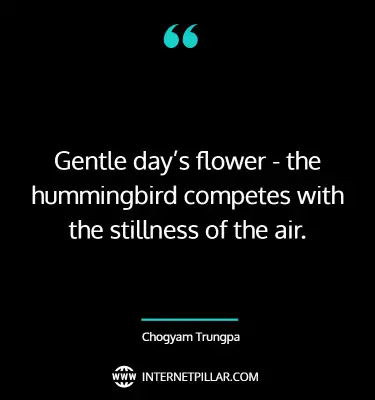 profound-hummingbird-quotes-sayings