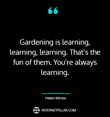 profound-learning-is-fun-quotes