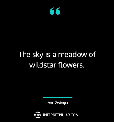 profound-wildflower-quotes-sayings