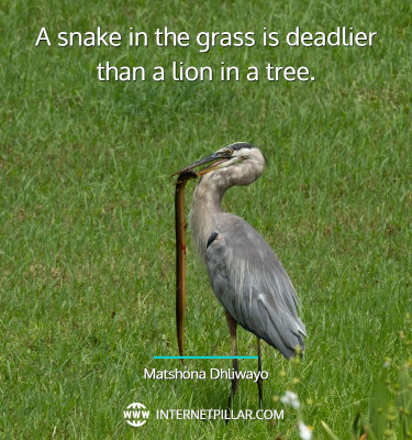 snake-in-the-grass-quotes
