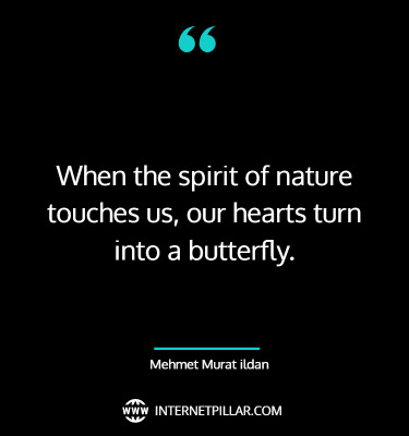 top-butterfly-quotes-sayings