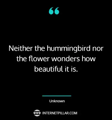 top-hummingbird-quotes-sayings