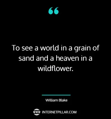 top-wildflower-quotes-sayings