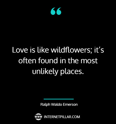 wildflower-quotes-sayings-captions
