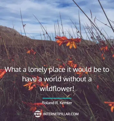 wildflower-quotes