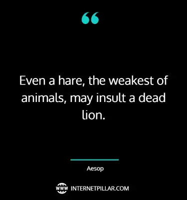 wise-lion-quotes-sayings