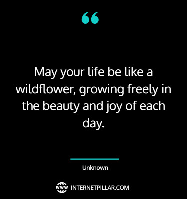 wise-wildflower-quotes-sayings