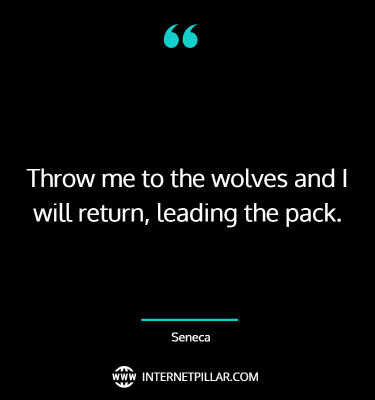 wise-wolves-quotes-sayings