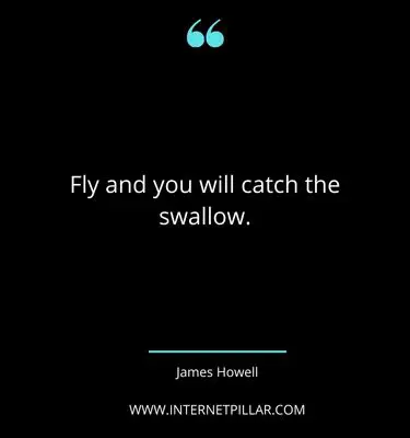 93 flying quotes sayings phrases to let your dreams fly sayings