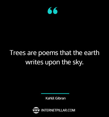 amazing-tree-quotes-sayings-captions