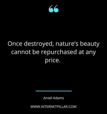 ansel-adams-quotes-sayings-captions