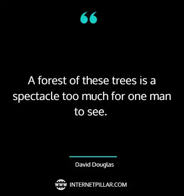 awesome-forest-quotes-sayings-captions