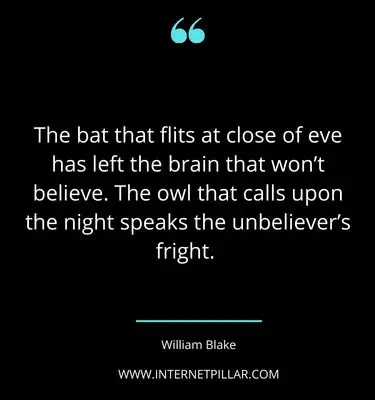 beautiful-owl-quotes-sayings-captions