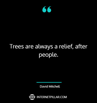 best-forest-quotes-sayings-captions