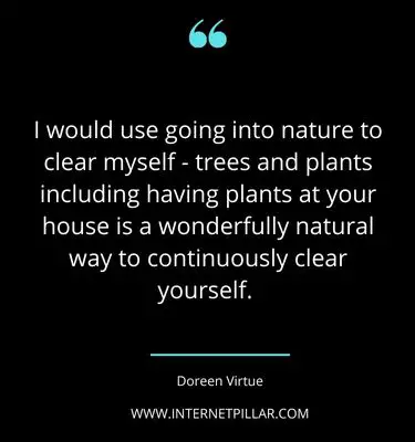 best-houseplant-quotes-sayings-captions