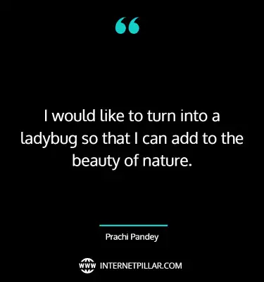 best-ladybug-quotes-sayings-captions