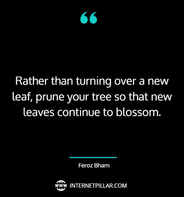 best-leaf-quotes-sayings-captions