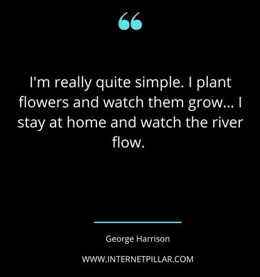 best-plant-quotes-sayings-captions-for-plant-lovers