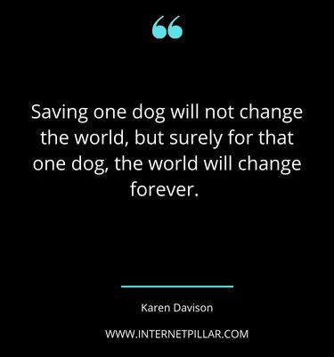 best-rescue-dog-quotes-sayings-captions