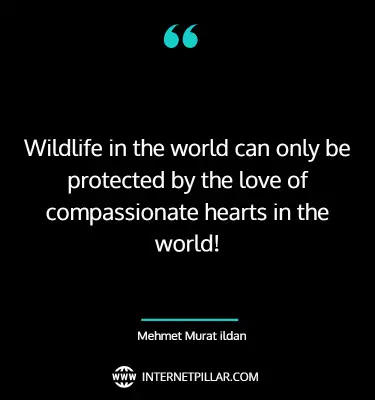 best-save-wildlife-quotes-sayings-captions