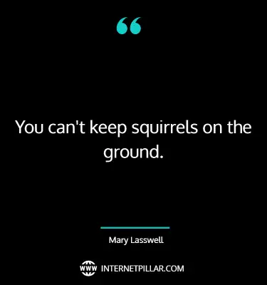 best-squirrel-quotes-sayings-captions