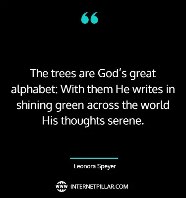 best-tree-quotes-sayings-captions