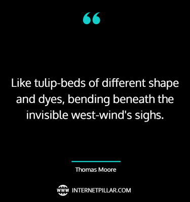 best-tulip-quotes-sayings-captions