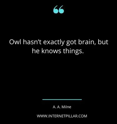 breath-taking-owl-quotes-sayings-captions