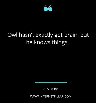 breath-taking-owl-quotes-sayings-captions