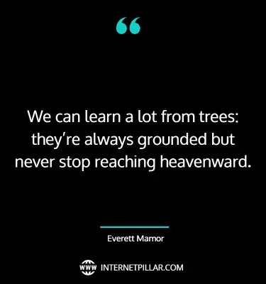 breath-taking-tree-quotes-sayings-captions