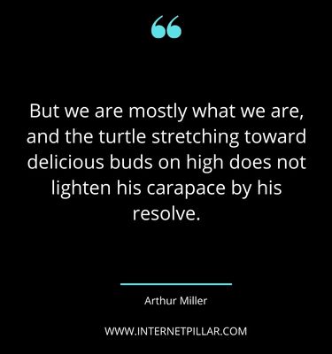 breath-taking-turtle-quotes-sayings-captions

